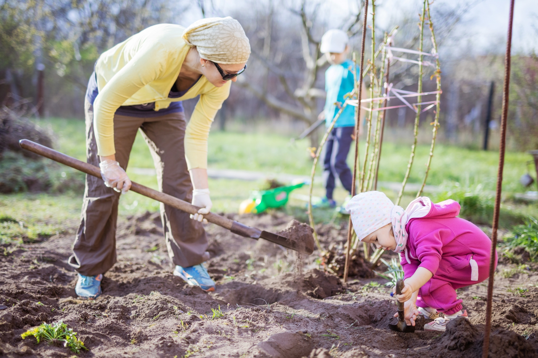Arbetsterapi och levnadsvanor